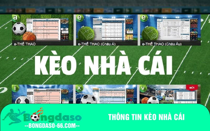 Thông tin kèo nhà cái