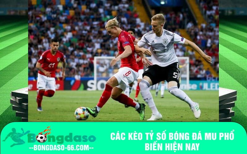 Các kèo Tỷ số bóng đá MU phổ biến hiện nay