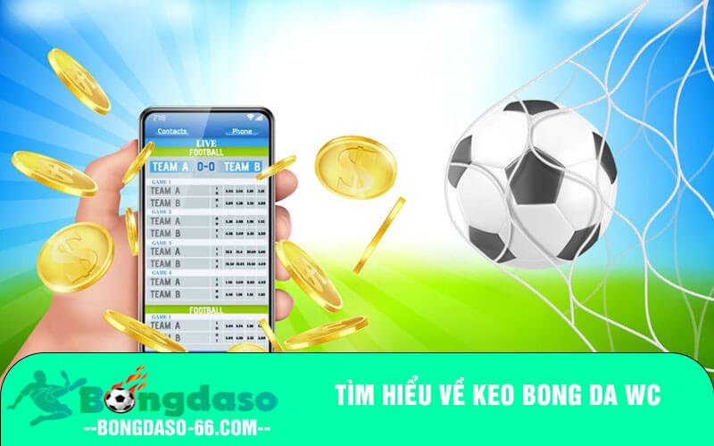 Tìm hiểu về Keo bong da WC