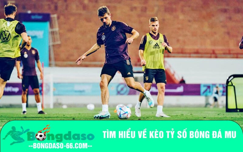 Tìm hiểu về kèo Tỷ số bóng đá MU
