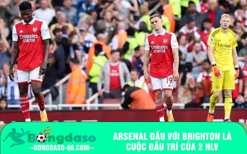 Arsenal đấu với Brighton là cuộc đấu trí của 2 HLV