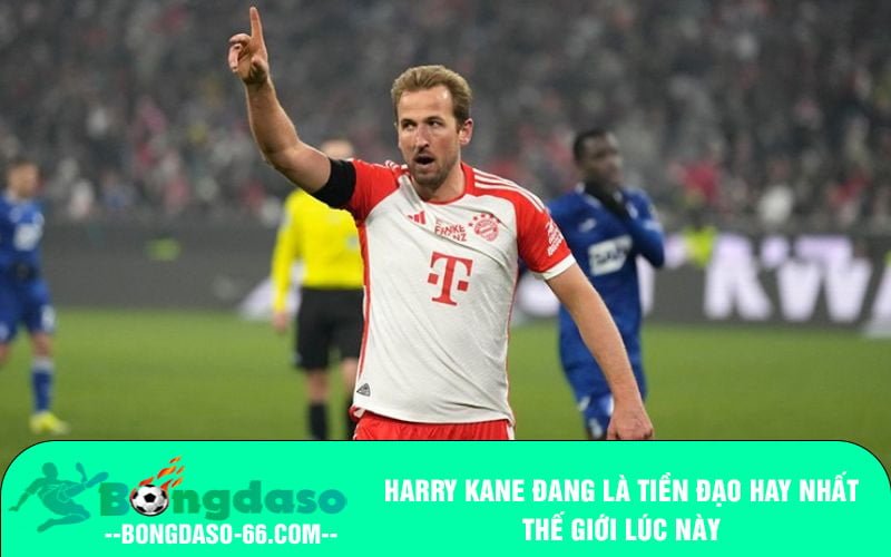 Harry Kane đang là tiền đạo hay nhất thế giới lúc này