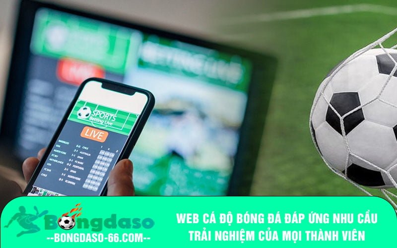 Web cá độ bóng đá đáp ứng nhu cầu trải nghiệm của mọi thành viên