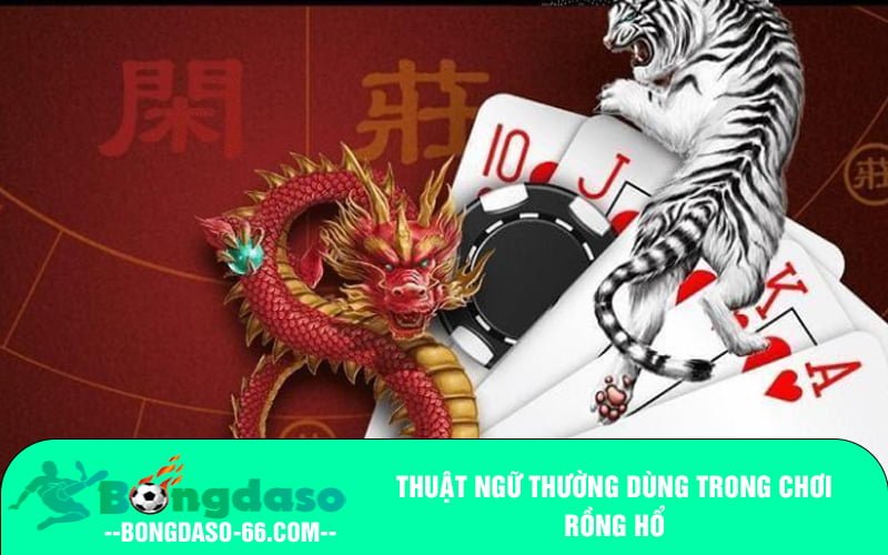 Thuật ngữ thường dùng trong chơi Rồng Hổ