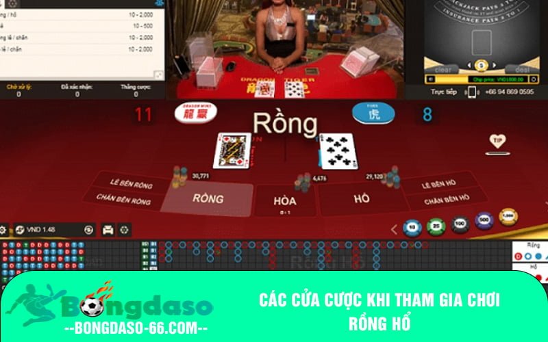 Các cửa cược khi tham gia chơi Rồng Hổ