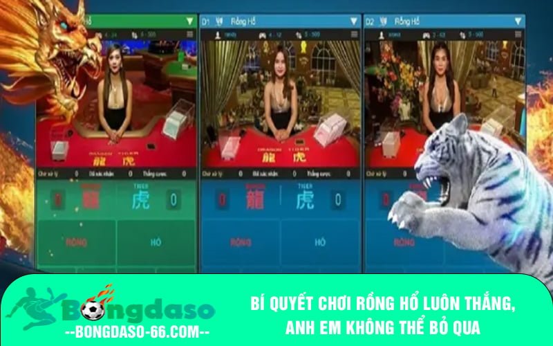 Bí quyết chơi Rồng Hổ luôn thắng, anh em không thể bỏ qua