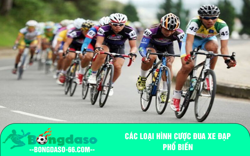 Các loại hình cược đua xe đạp phổ biến