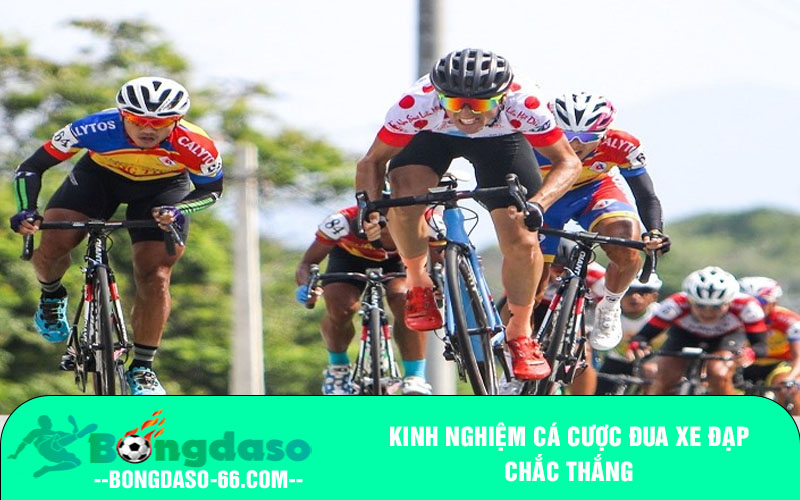 Kinh nghiệm cá cược đua xe đạp chắc thắng