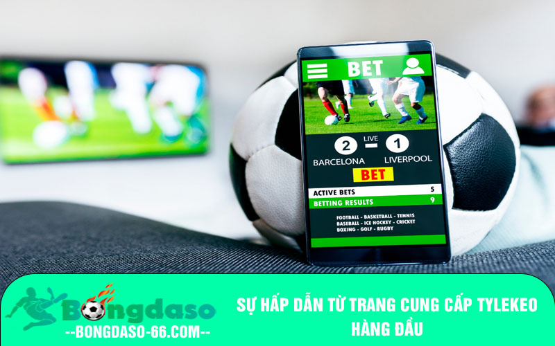 Sự hấp dẫn từ trang cung cấp tylekeo hàng đầu