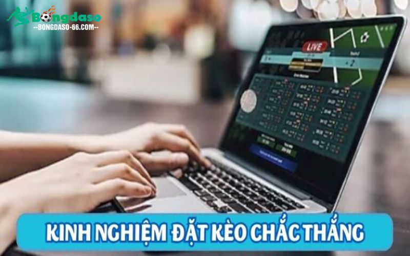 Kinh nghiệm đặt kèo chắc thắng cho tân thủ