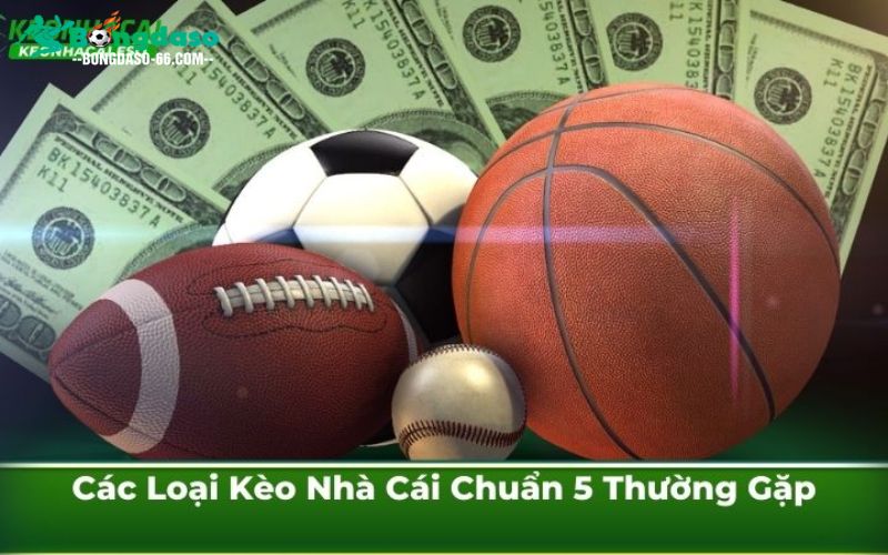 Các Loại Kèo Nhà Cái Chuẩn 5 Thường Gặp