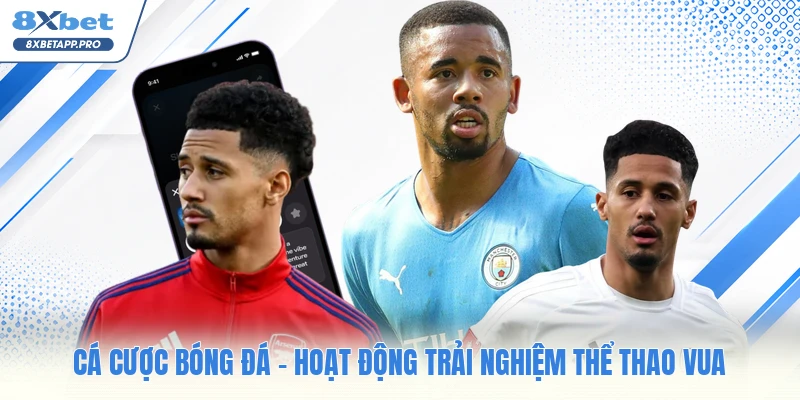 Cá Cược Bóng Đá