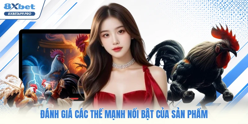 Đánh giá các thế mạnh nổi bật của sản phẩm