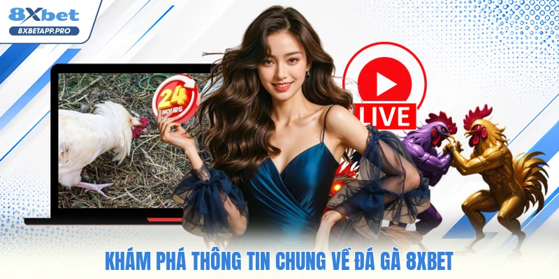 Khám phá thông tin chung về đá gà 8XBET