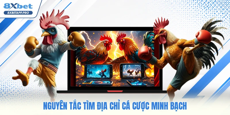 Nguyên tắc tìm địa chỉ cá cược minh bạch