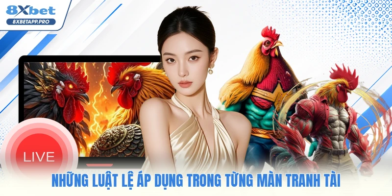 Những luật lệ áp dụng trong từng màn tranh tài